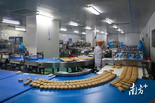 東莞市政府發(fā)布2022年一號(hào)文，大力推動(dòng)數(shù)字經(jīng)濟(jì)高質(zhì)量發(fā)展與金融服務(wù)深度融合